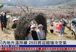 bbin真人_包含关键战局持续升温，场面掌控更加稳固的词条